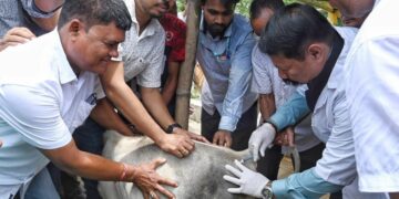 Outrage in Assam: Police Complaint Alleges State Minister ‘Illegally’ Administered Harmful Injections to Animals :