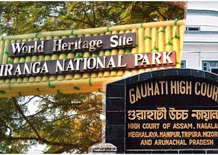 Emotional PIL Sparks Hope for Eco-Sensitive Zone Protection at Kaziranga National Park 1 Emotional PIL Sparks Hope for Eco-Sensitive Zone Protection at Kaziranga National Park