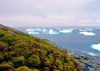 Antarctica : চৰিত্ৰ সলনি হৈছে এন্টাৰ্কটিকাৰ, নতুন বিপদৰ আশংকা পৰিৱেশবিদৰ