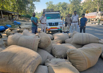 Burmese Supari, Drugs seized : ডিলাইত ১১ লাখ টকা মূল্যৰ বার্মিজ চুপাৰিৰ লগতে ড্ৰাগছ জব্দ, আটক ৪