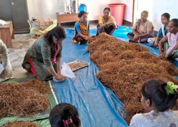 Empowering Future I Aaranyak’s Inspiring Mushroom Cultivation Training Transforms Karbi Women’s Livelihood in Assam