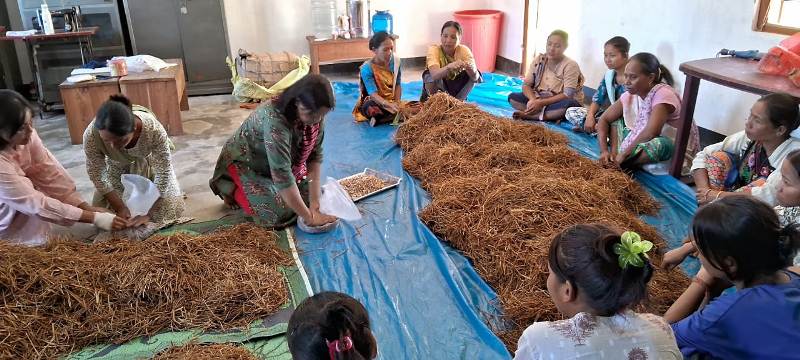 Empowering Future I Aaranyak’s Inspiring Mushroom Cultivation Training Transforms Karbi Women’s Livelihood in Assam