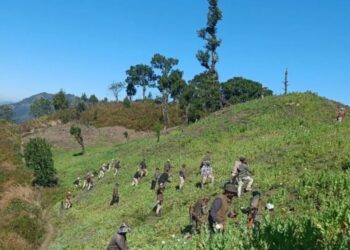 Triumphant Victory । Illegal Poppy Empire Obliterated in Churachandpur – Over 5.7 Acres Freed!