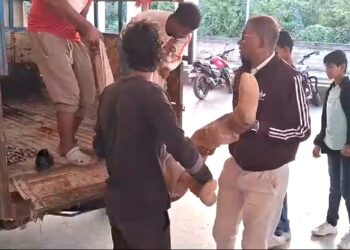 Tragic Collision in Nagaon: Police Constable  Killed, Colleague Critical After Bus Accident