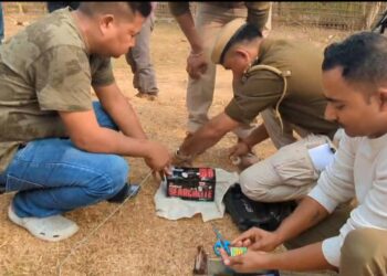 Police Seize Firearms and Ammunition in Assam-Nagaland Border Operation, One person has been arrested