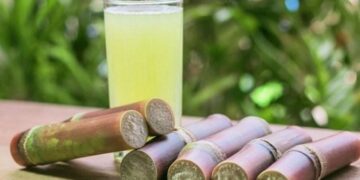 Sugarcane Juice I  কুঁহিয়াৰৰ ৰস আৰু ইয়াৰ প্ৰয়োজনীয়তা-