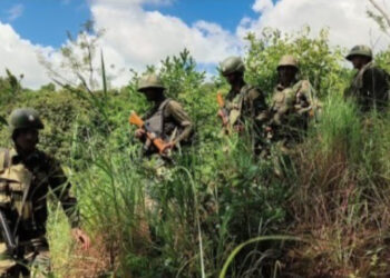 Tragic Ambush I 2 Naga Cadres Killed by Indian Forces, Claims NSCN