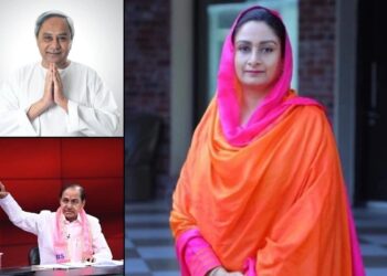 Why Three Parties Chose to Abstain from Vice Presidential Voting