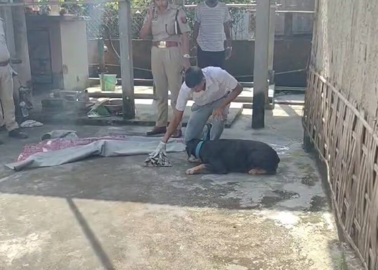 Retired Official and Wife Brutally Attacked by Ex-Caretaker in Nagaon