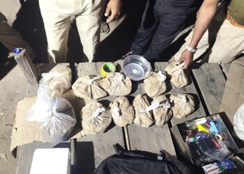 Major Success for Karbi Anglong Police as Khotkhoti Unit Seizes Large Quantity of Illegal Drugs