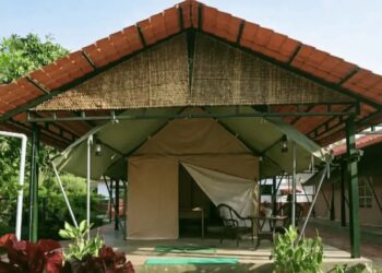 US tourist harassed I আমেৰিকান পৰ্যটকক যৌন নিৰ্যাতন চলোৱাৰ অভিযোগত হোমষ্টেৰ মালিকক গ্ৰেপ্তাৰ